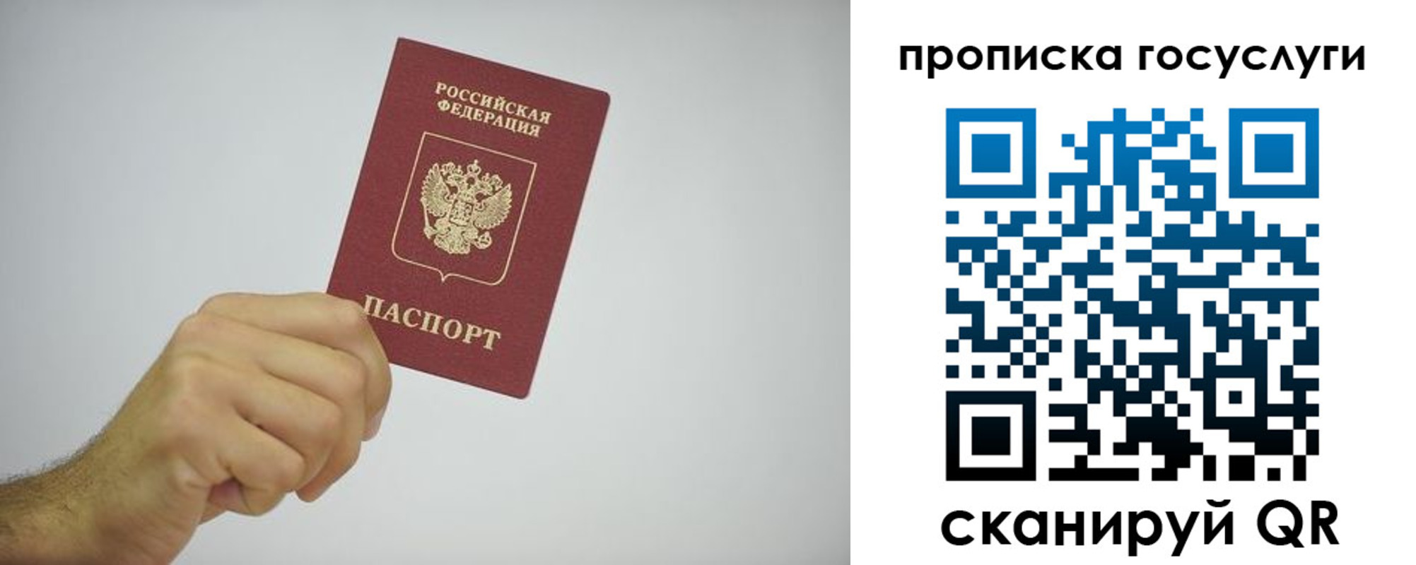 прописка законно в Калининграде